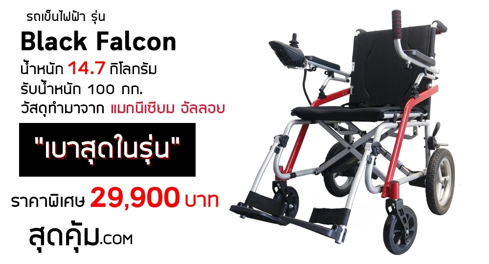 Black Falcon